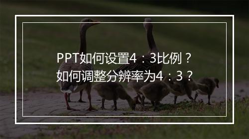 PPT如何设置4：3比例？如何调整分辨率为4：3？