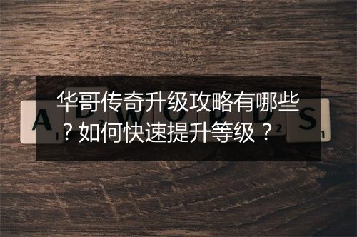 华哥传奇升级攻略有哪些？如何快速提升等级？